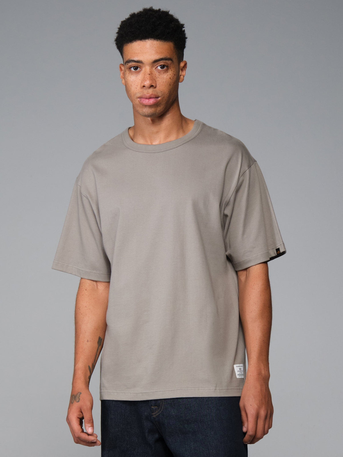 ESSENTIAL DESTINATION TEE MID GRAY | Alpha Industries