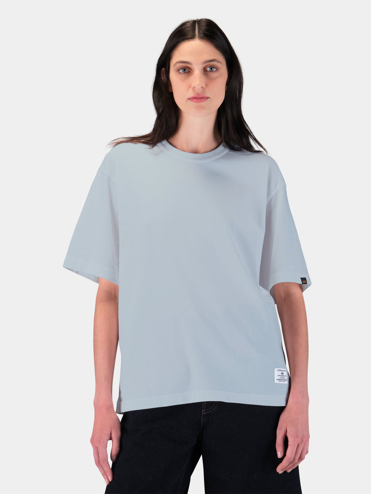 Relaxed Short Sleeve Tee MIST | Alpha Industries